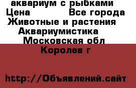 аквариум с рыбками › Цена ­ 1 000 - Все города Животные и растения » Аквариумистика   . Московская обл.,Королев г.